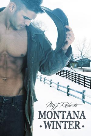 Cover of the book Montana Winter by M. J. Roberts