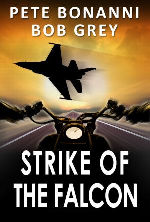 Cover of the book Strike of the Falcon by Johnny Mee