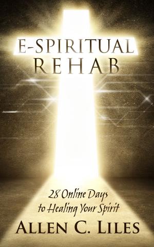 bigCover of the book E-Spiritual Rehab/28 Online Days to Healing Your Spirit by 