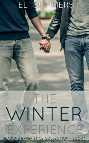 Cover of the book The Winter Experience (Book #1 Season Experience Collection) by S.E. Rose
