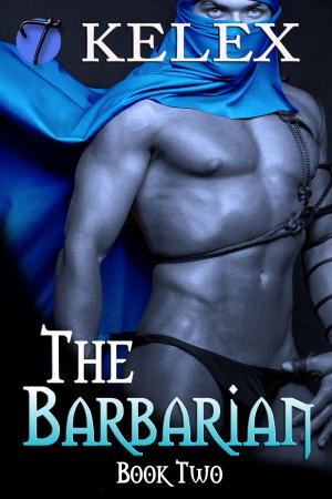 Cover of the book The Barbarian (Tales of Aurelia, Book Two) by Roxxy Lyons