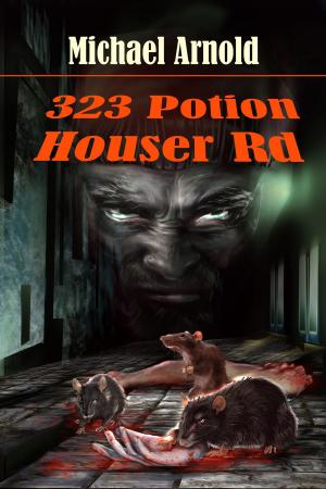 Cover of the book 323 Potion Houser Road by Nita Martin