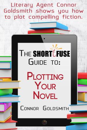 Cover of the book The Short Fuse Guide to Plotting Your Novel by Jen Karsbaek
