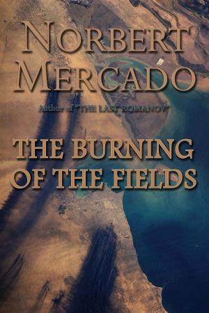 Cover of The Burning Of The Fields