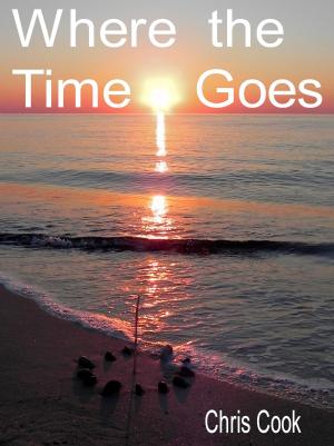 Book cover of Where The Time Goes.