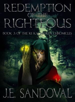 Book cover of Redemption of the Righteous