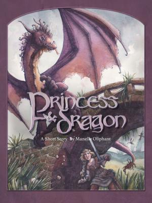 Cover of Princess and Dragon