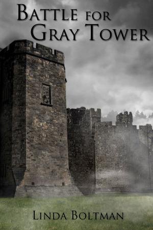 Book cover of Battle for Gray Tower