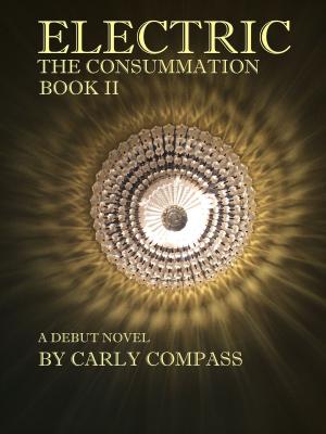 Cover of Electric, The Consummation, Book II