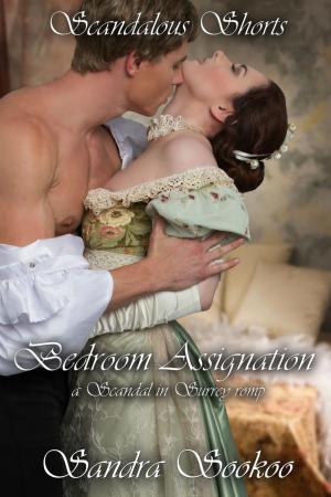 Cover of the book Bedroom Assignation by Sandra Sookoo