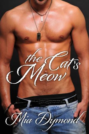 bigCover of the book The Cat's Meow (SEALS, Inc. Book 5) by 