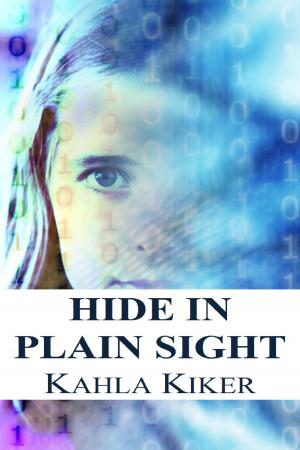 Cover of the book Hide in Plain Sight by Barry McCauley