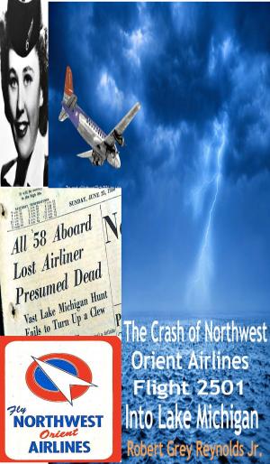bigCover of the book The Crash Of Northwest Orient Airlines Flight 2501 Into Lake Michigan by 