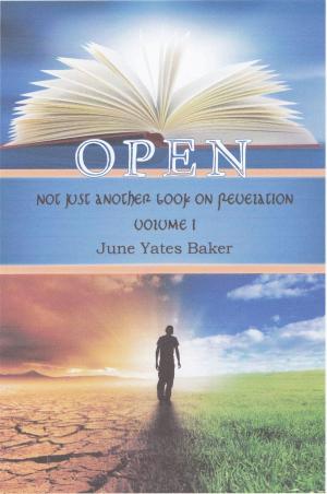 bigCover of the book Open: Not Just Another Book on Revelation - Volume 1 by 