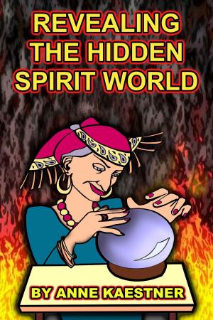 Book cover of Revealing The Hidden Spirit World