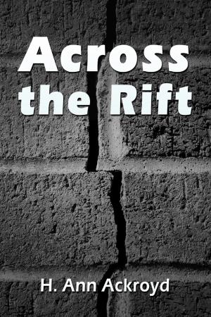 Cover of the book Across the Rift by Megan Brennan, Charlote 
