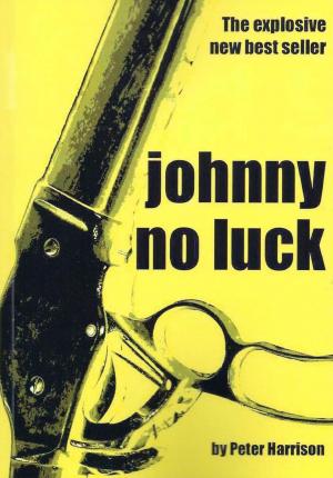 Book cover of Johnny No Luck