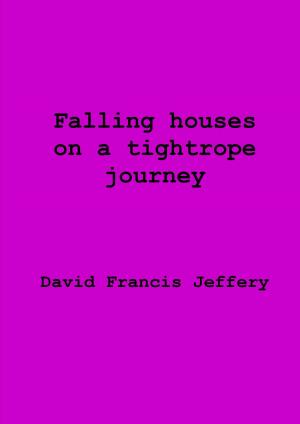 bigCover of the book Falling Houses On A Tightrope Journey by 