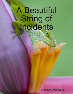 Book cover of A Beautiful String of Incidents