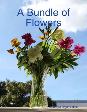 Cover of the book A Bundle of Flowers by Jill Vance, Lou Pizzi