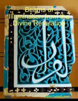 Cover of the book Beams of Illumination from the Divine Revelation by Latonya D. Young