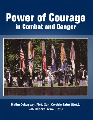 Cover of the book Power of Courage In Combat and Danger by Bruce D. Barnes, Mike Paramore