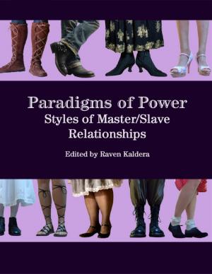 Cover of the book Paradigms of Power: Styles of Master/slave Relationships by Robert Stetson