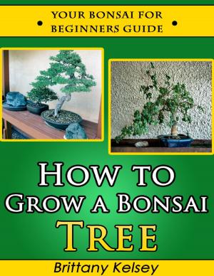 Cover of the book How to Grow a Bonsai Tree: Your Bonsai for Beginners Guide by E. McBride