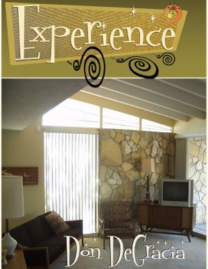 Cover of the book Experience by J.J. Jones