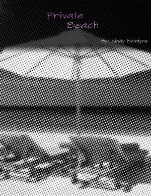 Cover of the book Private Beach by Jonathan Witt