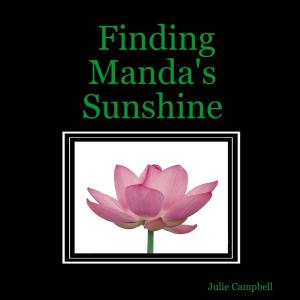 Book cover of Finding Manda's Sunshine