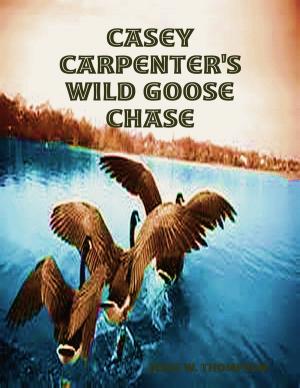 Cover of the book Casey Carpenter's Wild Goose Chase by Natasha Simon