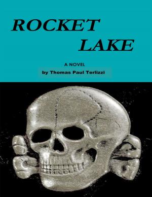 Book cover of Rocket Lake