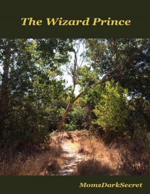 Cover of the book The Wizard Prince by Joe McCormick