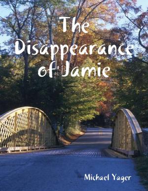 bigCover of the book The Disappearance of Jamie by 
