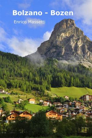 Book cover of Bolzano - Bozen