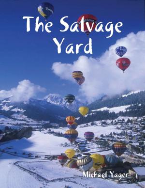 bigCover of the book The Salvage Yard by 