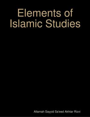 Cover of the book Elements of Islamic Studies by Bruce Zboray