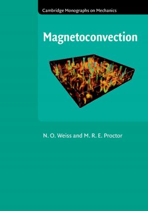 Cover of the book Magnetoconvection by Joshua Simon