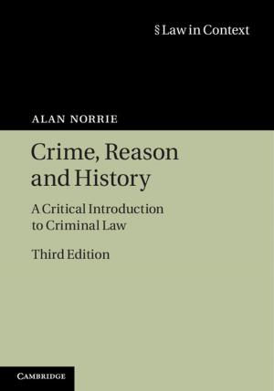 Cover of the book Crime, Reason and History by Igor N. Serdyuk, Nathan R. Zaccai, Joseph Zaccai