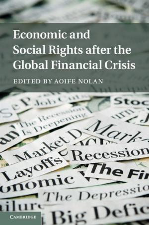 Cover of the book Economic and Social Rights after the Global Financial Crisis by Li-fang Zhang