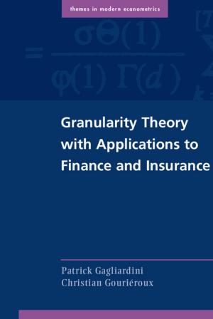 Cover of the book Granularity Theory with Applications to Finance and Insurance by B. H. McLean