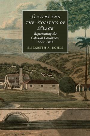 Cover of the book Slavery and the Politics of Place by Richard E. Wener