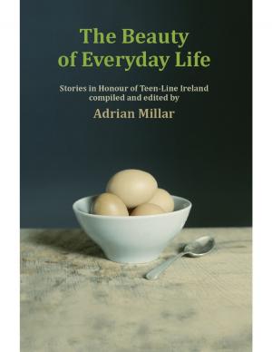 Book cover of The Beauty of Everyday Life: Stories In Honour of Teenline Ireland