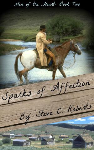 Cover of the book Sparks of Affection by Damien Ba'al, John Buer, Penemue