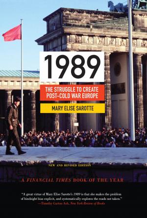 Cover of the book 1989 by Christopher H. Achen, Larry M. Bartels