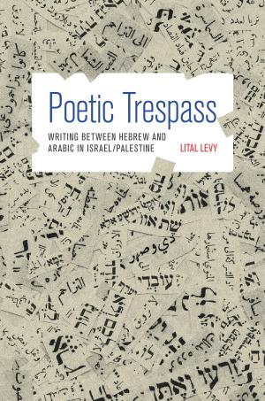 Cover of the book Poetic Trespass by Dana Villa