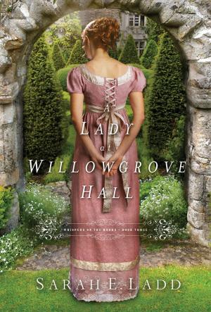 Cover of the book A Lady at Willowgrove Hall by Lysa TerKeurst