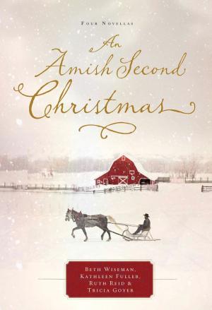Book cover of An Amish Second Christmas