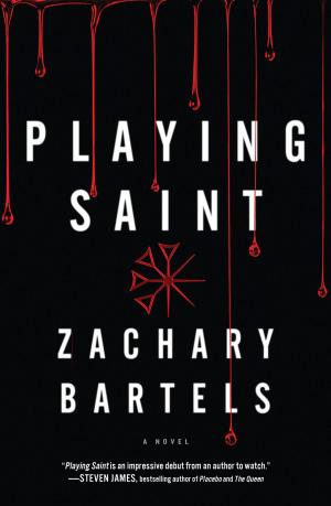 Book cover of Playing Saint